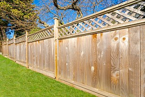 Decorative Trellis Topped Wooden Fencing