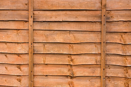 Image illustrating Featherboard Fencing:<br/> Stylish and Sturdy for Any Landscape